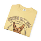 'Sicilian Swift' Cirneco dell'Etna T-Shirt — alternate view