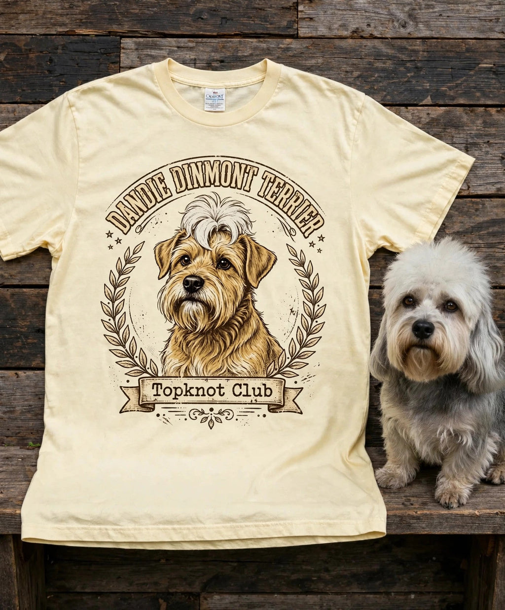 'Topknot Club' Dandie Dinmont Terrier T-Shirt in Butter