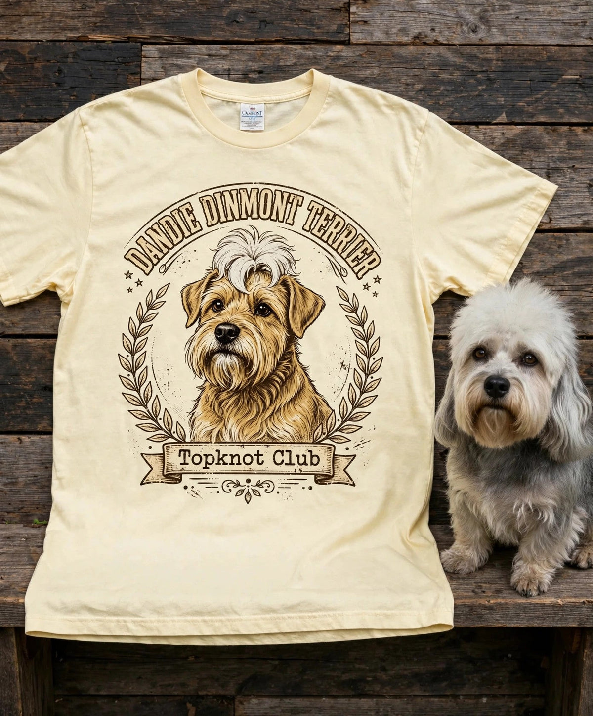 'Topknot Club' Dandie Dinmont Terrier T-Shirt in Butter